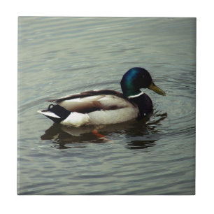 Duck at the Water Tile