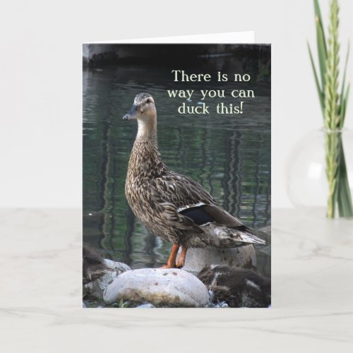 Duck Big Hug Encouragement Card