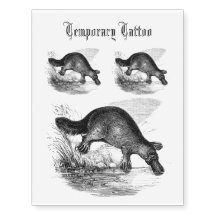 Duck-billed platypus Black and white Drawing