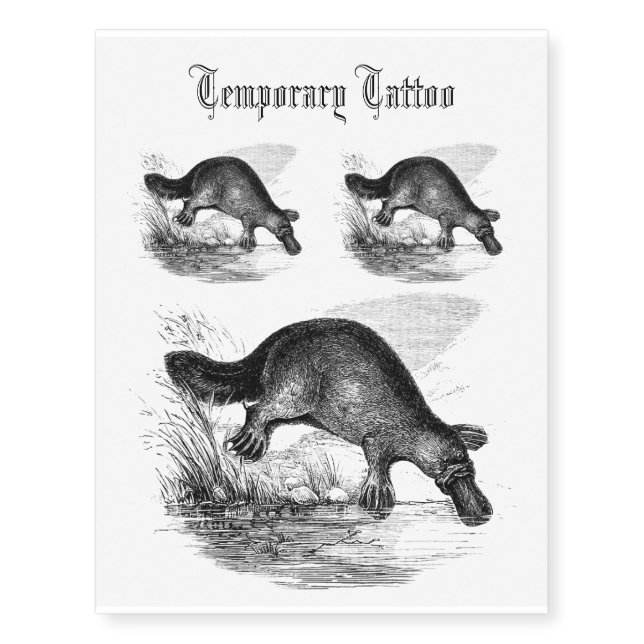 Duck-billed platypus Black and white Drawing Temporary Tattoos (Front)