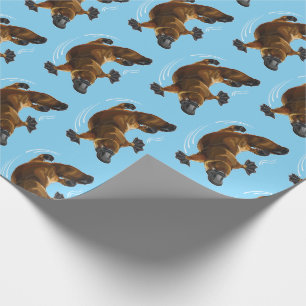 duck-billed platypus wrapping paper