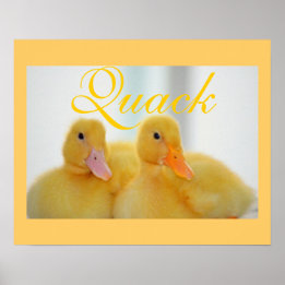Duck Bird Animal Cute Chick Quack Poster