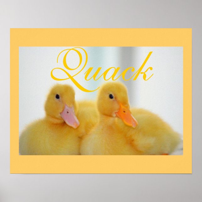 Duck Bird Animal Cute Chick Quack Poster (Front)