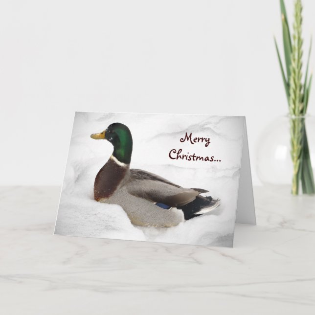 Duck Bird in Snow Animal Christmas Holiday Card (Front)