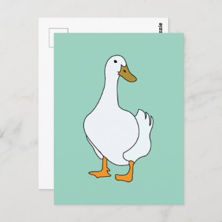 Duck Bird White Duck 