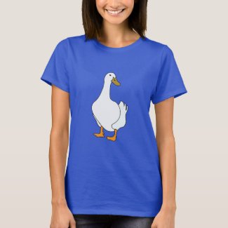Duck Bird White Duck 
