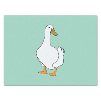 Duck Bird White Duck 
