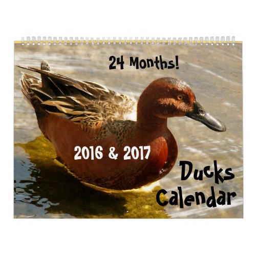 Duck Birds Wildlife Animals Duckling 2016 2017 Calendar