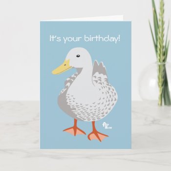 Duck Birthday Card by flopsock at Zazzle