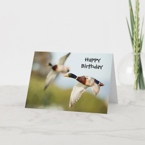 Duck Birthday Card or any Occasion