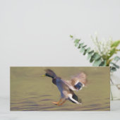 Duck BookMark (Standing Front)