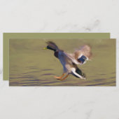 Duck BookMark (Front/Back)