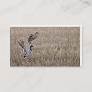 Duck Business Card