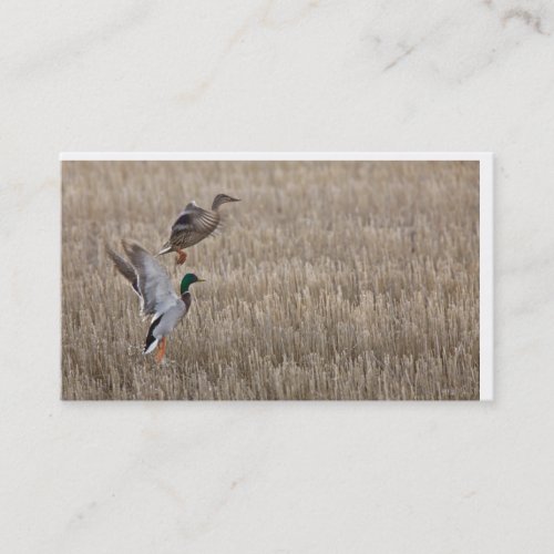 Duck Business Card
