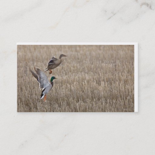 Customizable Duck Business Card
