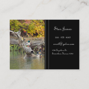 Duck Business card