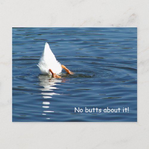 Duck Butt Humor Post Card