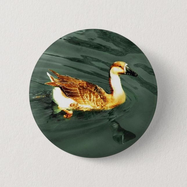 Duck Button (Front)