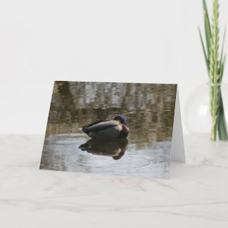 Duck Card