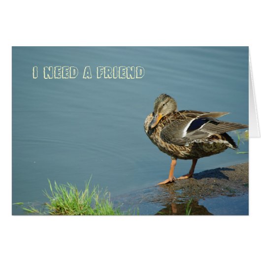 Duck Card (Front Horizontal)