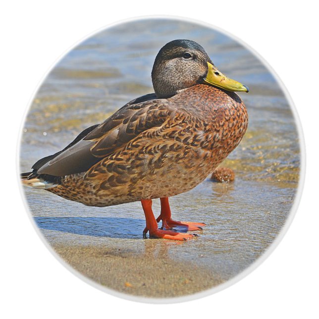 Duck Ceramic Knob (Front)
