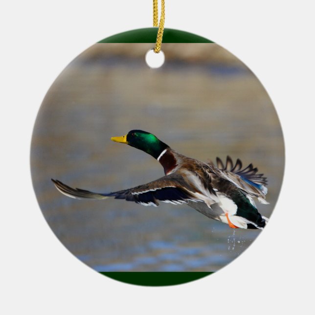 duck ceramic ornament (Front)