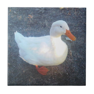 Duck Ceramic Tile