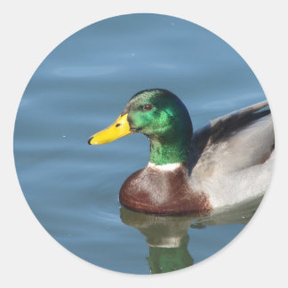 Duck Classic Round Sticker