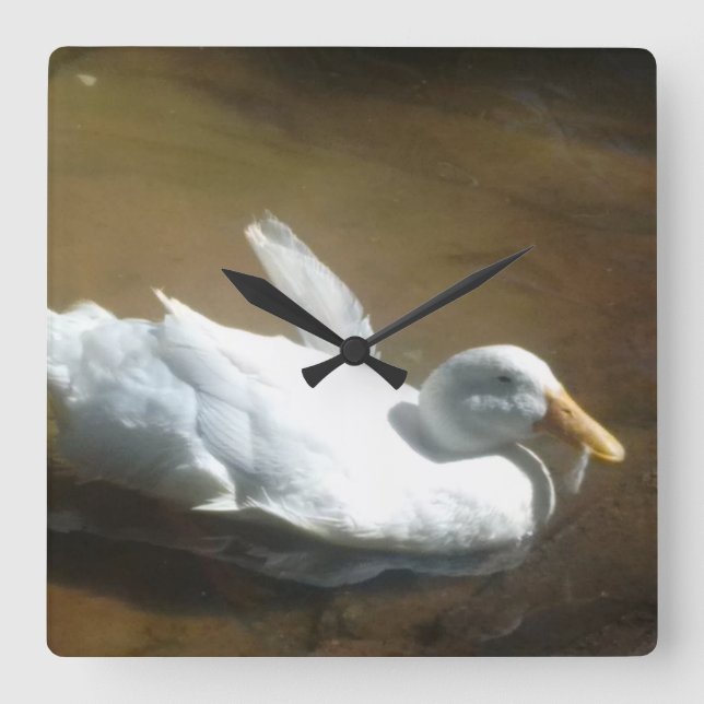 Duck Clock (Front)
