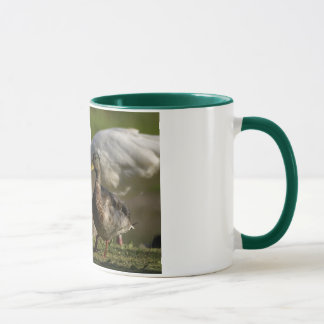 Duck Convention Mug