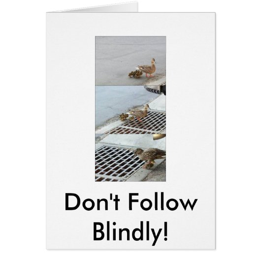 duck, Don't Follow Blindly! Cards (Front)