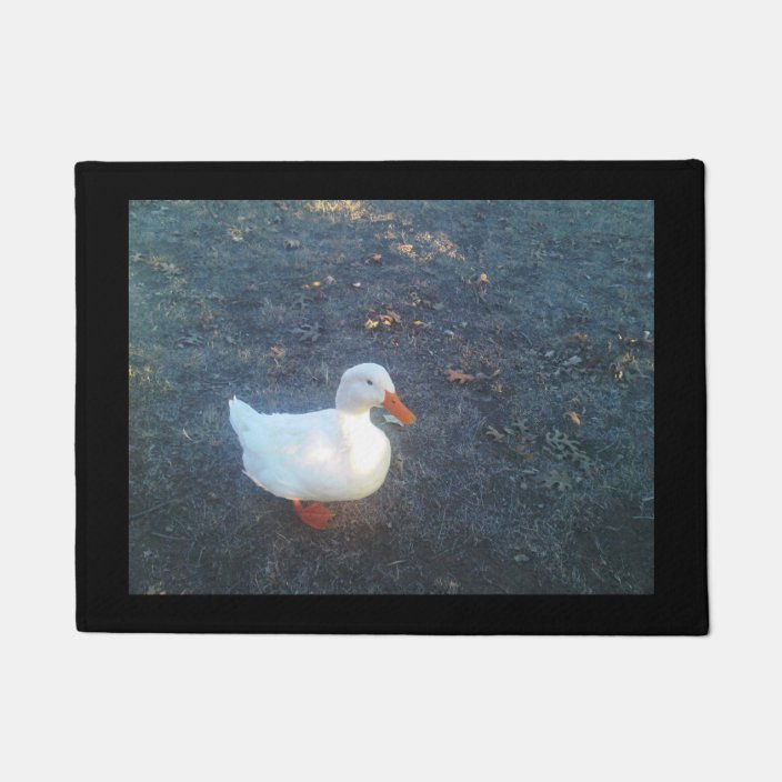 Duck Doormat