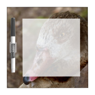 Duck Dry-Erase Board