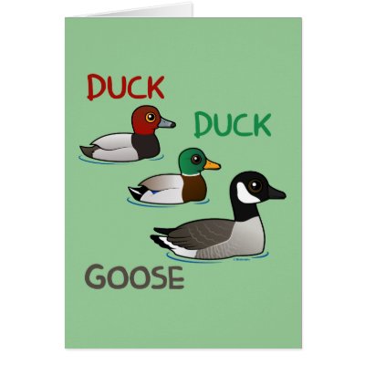 Duck Duck Goose