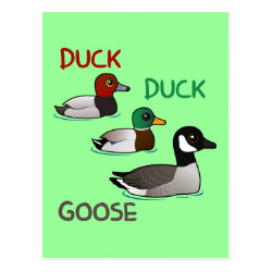 Duck Duck Goose Postcard