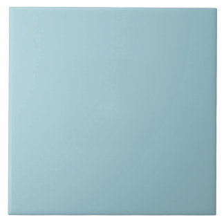 Duck Egg Blue Ceramic Tile. Ceramic Tile