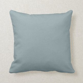 Duck egg blue decorator color throw pillow