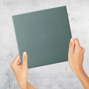 Duck Egg Blue Gray Solid Color Tile