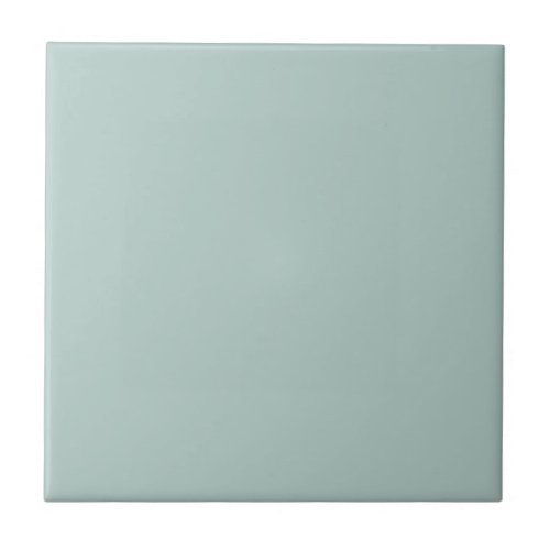 Duck Egg Blue Solid Color Tile