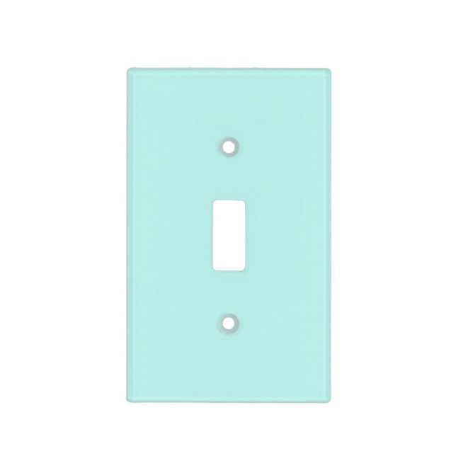 Duck egg - Solid color aqua blue Light Switch Cover (Front)