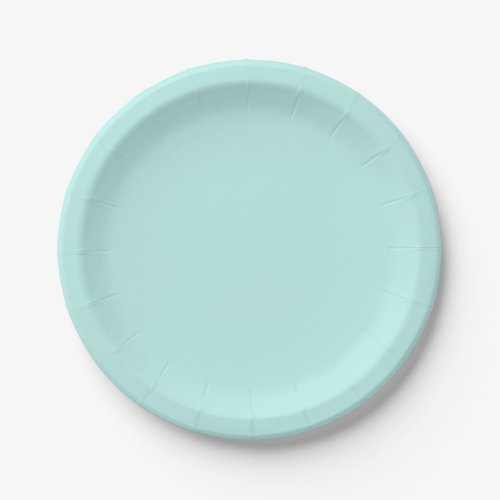 Duck egg _ Solid color aqua blue Paper Plates