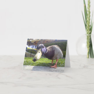 "Duck Encounter" Card
