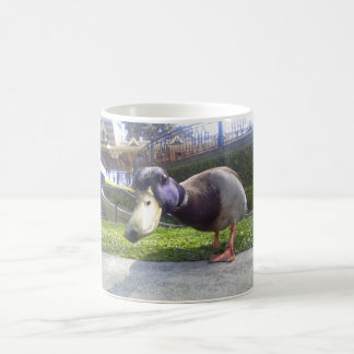 "Duck Encounter" coffee mug