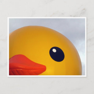 duck eye lip postcard