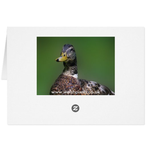 Duck Family Card (Back Horizontal)