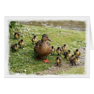 Duck Family Card