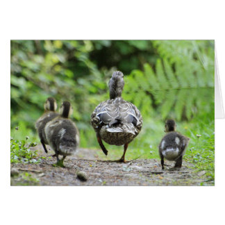 Duck Family Cards