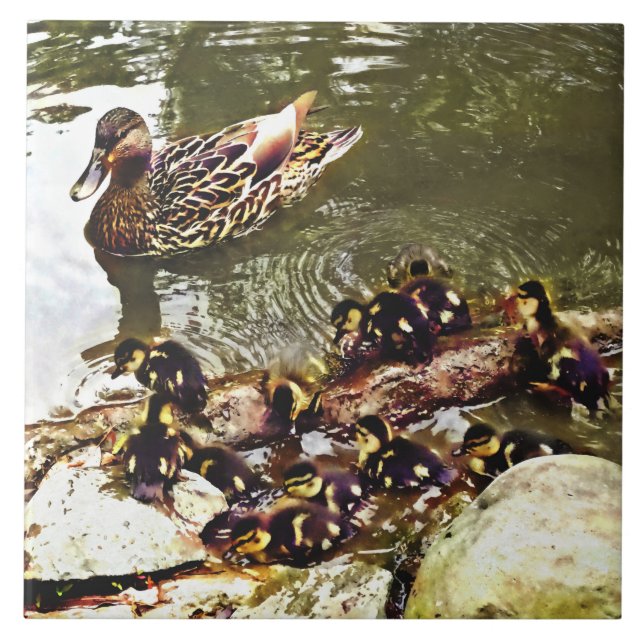 Duck Family Ceramic Tile (Front)