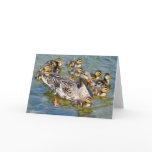 Duck Family Greeting Card