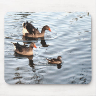 Duck Family Mouse Pad